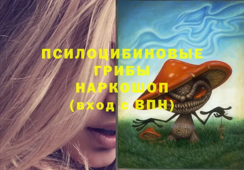 Псилоцибиновые грибы MAGIC MUSHROOMS  Кимовск 